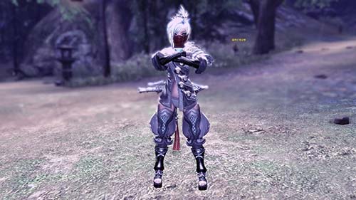 Blade & Soul Assassin Build Tips